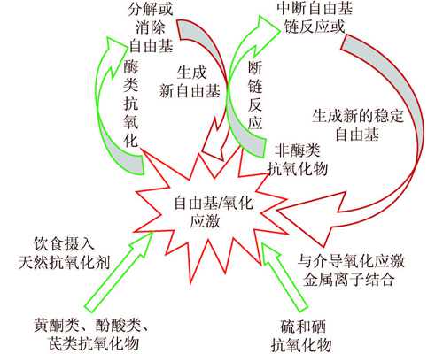 重庆有代妈公司吗 重庆11家试管婴儿医院排名、成功率与费用是否医保报销？