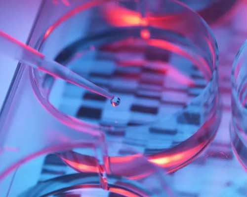 探索试管助孕：生殖专家揭秘备孕策略与代生、借卵选择