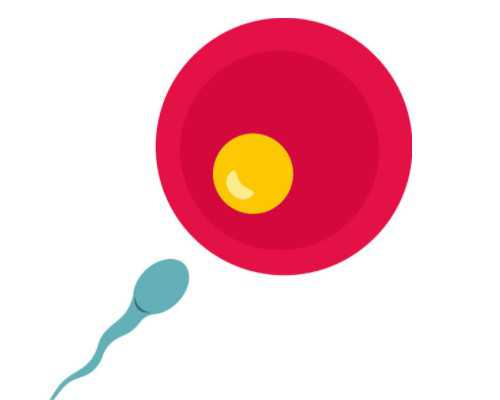 重庆助孕指南：多囊卵巢与高龄试管医院选择、借卵排名及代怀流程深度解析