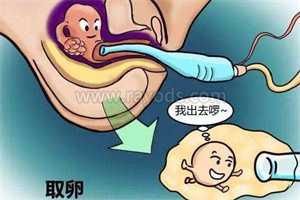 武汉助孕中心：临产前孕妈小腿肿胀，丈夫的贴