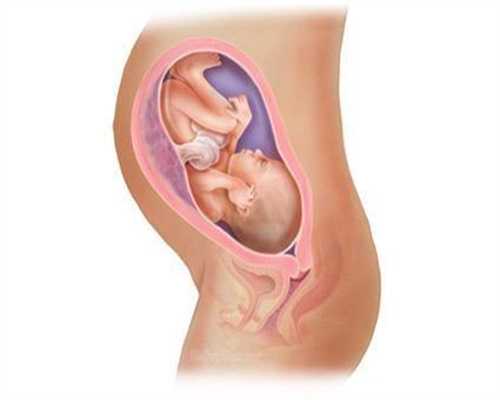 武汉医院生孩子费用,排卵期与排卵日哪个易怀孕